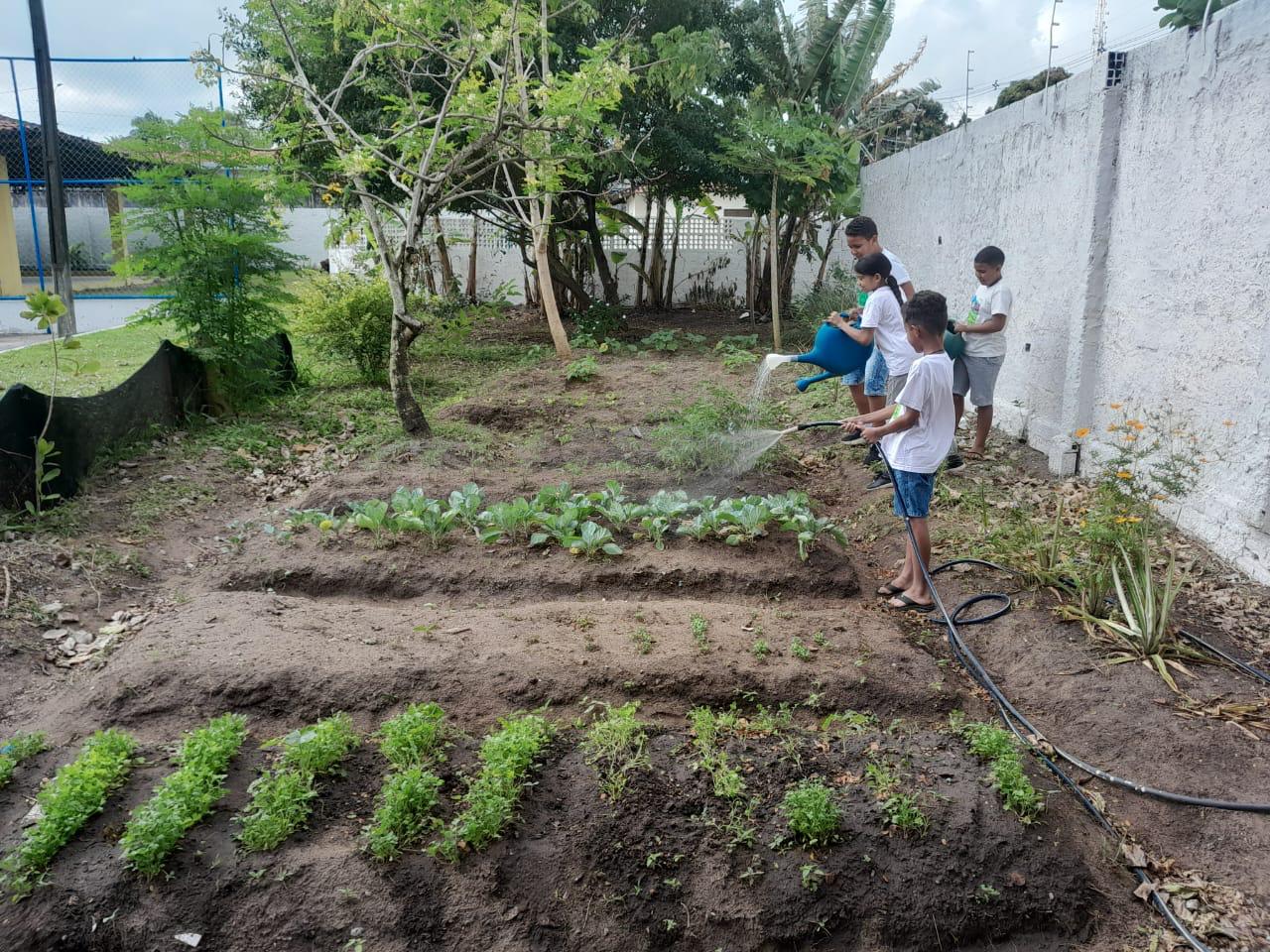 Horta Pedagogica com os educandos
